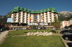 Гостиница Hotel Silva Busteni, Буштень